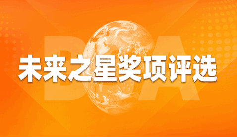 襄阳市投票活动1